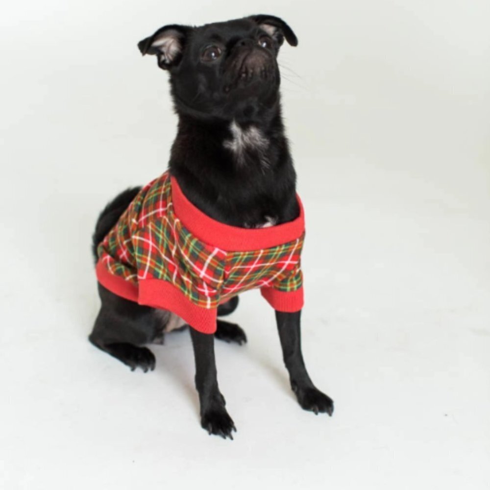 Aegean Dog's Festive Plaid Pet Tee